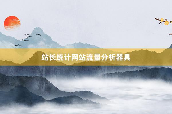 站长统计网站流量分析器具