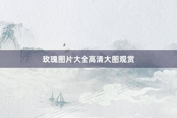 玫瑰图片大全高清大图观赏