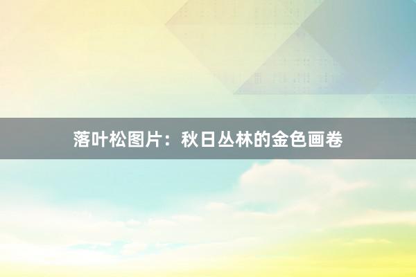 落叶松图片：秋日丛林的金色画卷